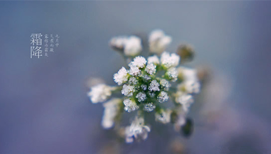 �V���������������������