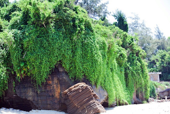 �V�����������磬�ό������ލu����