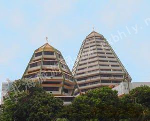 �����ʶ���Ƶ�