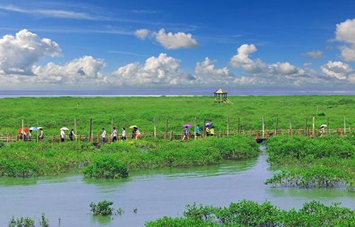 �����𺣞��t����