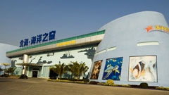 ����֮��